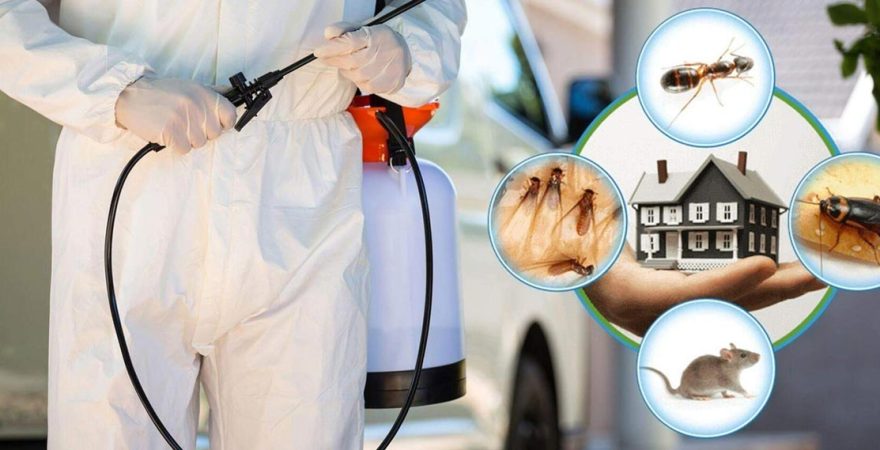 Uludere Böcek İlaçlama