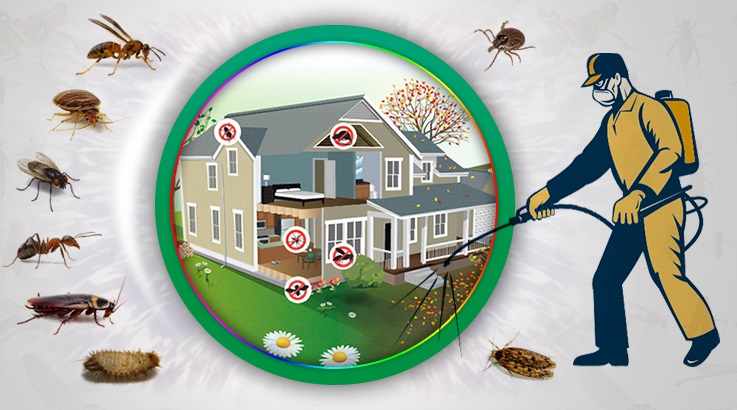 Uludere Böcek İlaçlama