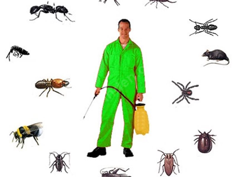 Uludere Böcek İlaçlama